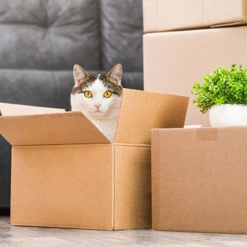 move-boxes-picture-id1400050022